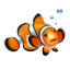 Clownfish Clownfish